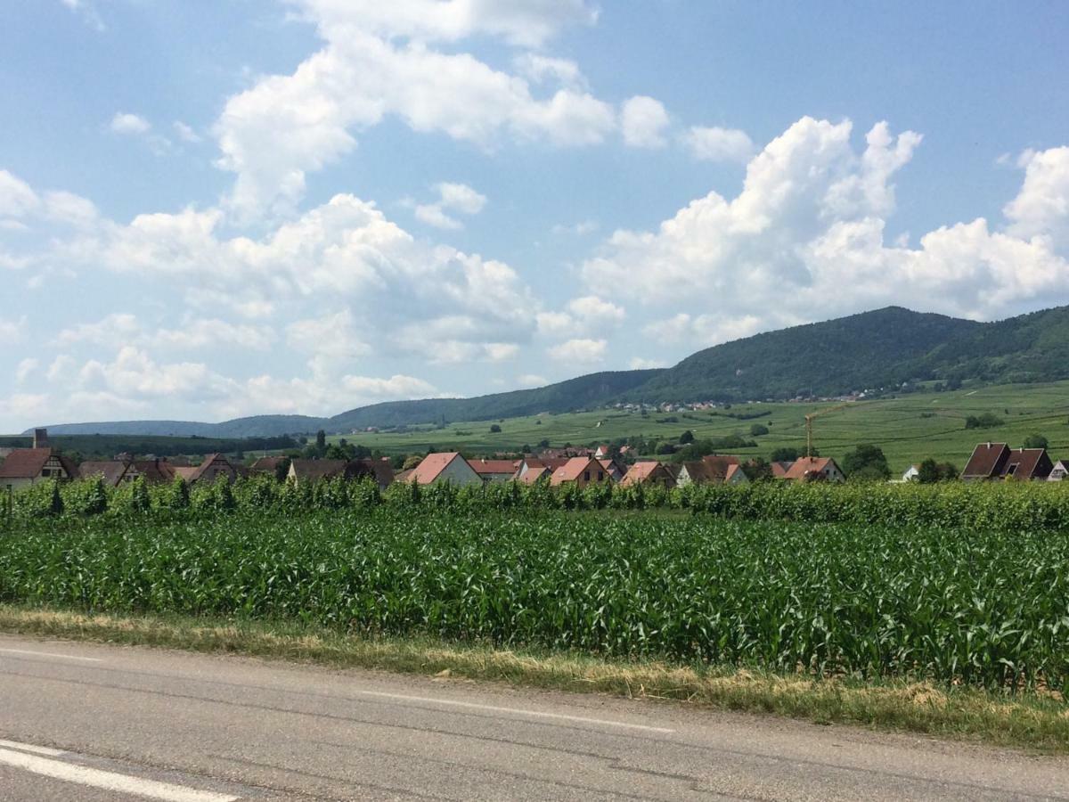 Gite "Smart'In" - Parking Offert Eguisheim Dış mekan fotoğraf